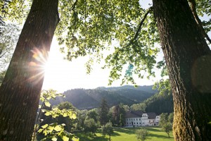 20157348_1078518525615063_3019058065025606870_o